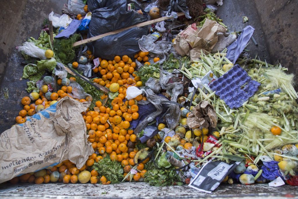 El Mundo Desperdicia El De Los Alimentos Producidos Agronoa