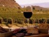 El Malbec de Altura vuelve a ser protagonista en Cafayate