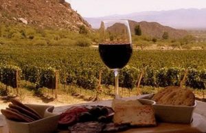 El Malbec de Altura vuelve a ser protagonista en Cafayate