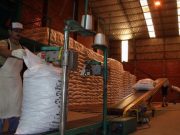 Buen desempeño de la yerba mate en mercado interno y externo