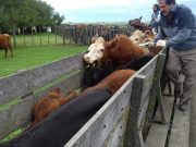 CRA también cuestionó la polémica medida del Senasa