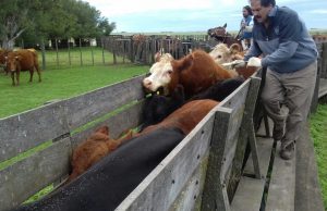 CRA también cuestionó la polémica medida del Senasa