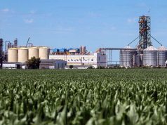 El bioetanol tiene nuevos precios de referencia