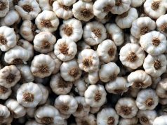 Las exportaciones hortícolas arrancaron 2026 con cifras históricas