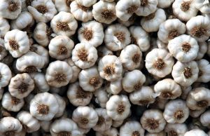 Las exportaciones hortícolas arrancaron 2026 con cifras históricas