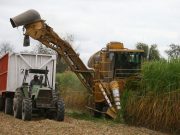 La zafra azucarera avanza con buen ritmo en el NOA