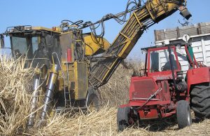 La zafra llegó a su fin y espera sus cifras finales