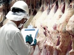 Exportaciones de carne: el 2025 cerró con récord