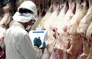 Exportaciones de carne: el 2025 cerró con récord