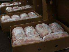 Las exportaciones de carne porcina crecieron más de 150%