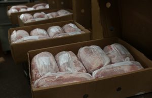 Las exportaciones de carne porcina crecieron más de 150%