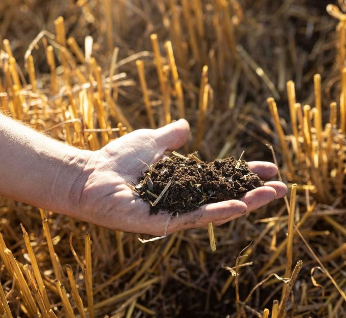 La Importancia De Cuidar Un Recurso Clave Como El Suelo AgroNoa