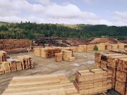 Las exportaciones foresto-industriales crecieron más de 18%