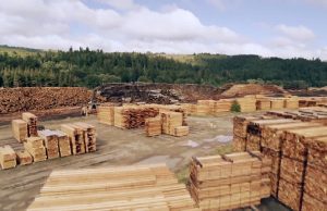 Las exportaciones foresto-industriales crecieron más de 18%