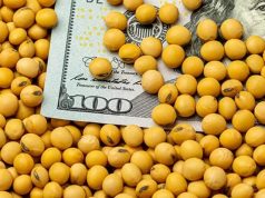 Retenciones 0 %: quiénes las aprovecharon y qué dijo el campo