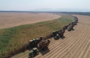 Zafra 2025: la industria sucroalcoholera logró cifras históricas