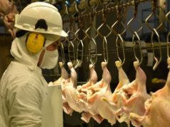 Se reabrió el mercado japonés para la avicultura argentina