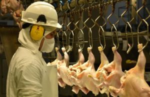 Se reabrió el mercado japonés para la avicultura argentina