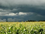 Lluvias, nubosidad y frío: el panorama agroclimático para octubre