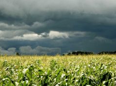 Lluvias, nubosidad y frío: el panorama agroclimático para octubre