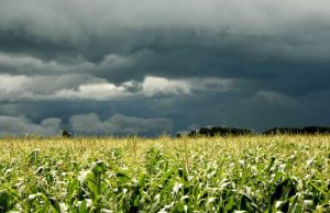Lluvias, nubosidad y frío: el panorama agroclimático para octubre