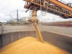 Senasa abrió la inscripción para exportar granos a China