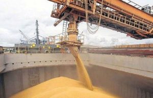 Senasa abrió la inscripción para exportar granos a China