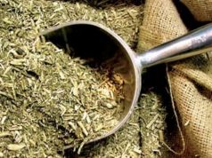 La yerba mate superó los 224 millones de kilos a salida de molinos