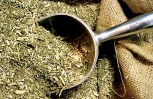 La yerba mate superó los 224 millones de kilos a salida de molinos