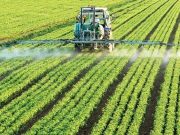 Fertilizantes: se afianza la recuperación del consumo