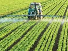 Fertilizantes: se afianza la recuperación del consumo