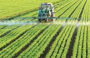 Fertilizantes: se afianza la recuperación del consumo