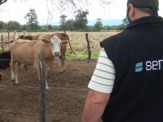 Prorrogaron el plazo para actualizar los datos del Renspa