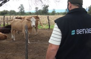 Prorrogaron el plazo para actualizar los datos del Renspa