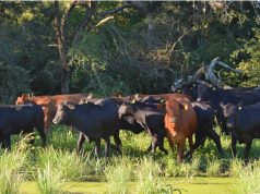 Salta: la producción agropecuaria regenerativa tendrá su jornada