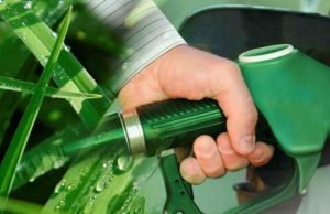 El futuro del bioetanol estará en debate en Tucumán