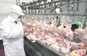 Vuelven los envíos de carne aviar a Europa