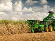 La zafra azucarera 2025 se encamina a un cierre positivo