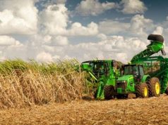 La zafra azucarera 2025 se encamina a un cierre positivo