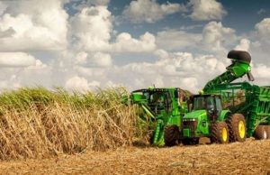 La zafra azucarera 2025 se encamina a un cierre positivo