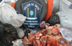 Delitos rurales: preocupación por el abigeato y faena clandestina🔊