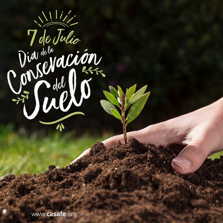 Día De La Conservación Del Suelo El Lugar Donde Todo Comienza Agronoa 4551