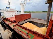 La agroindustria mostró su mejor desempeño en el 2025