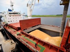 La agroindustria mostró su mejor desempeño en el 2025