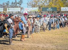 La Expo Rural Salteña abre sus puertas con una amplia agenda🔊
