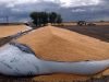 Salta: proponen incorporar el vandalismo rural al Código Penal