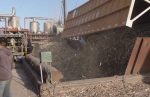 Guatemala, bajo la lupa de la industria azucarera tucumana