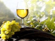 Torrontés de Altura: Salta presentó la agenda de su 13° edición