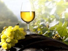 Torrontés de Altura: Salta presentó la agenda de su 13° edición