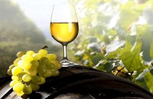 Torrontés de Altura: Salta presentó la agenda de su 13° edición
